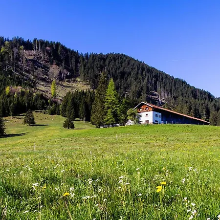 Appartement Bergnah Oy Mittelberg *